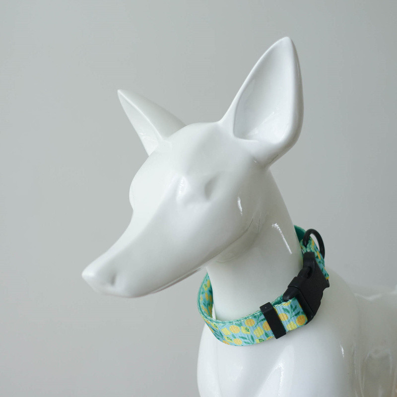 Personalizēta suņu kakla siksna, pielāgota iegravēta vārda ID, regulējama neilona kucēnu kaklasiksna Čivavas mopsis Maza, vidēja liela suņu kaklasiksna