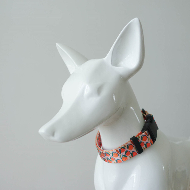 Personalizēta suņu kakla siksna, pielāgota iegravēta vārda ID, regulējama neilona kucēnu kaklasiksna Čivavas mopsis Maza, vidēja liela suņu kaklasiksna