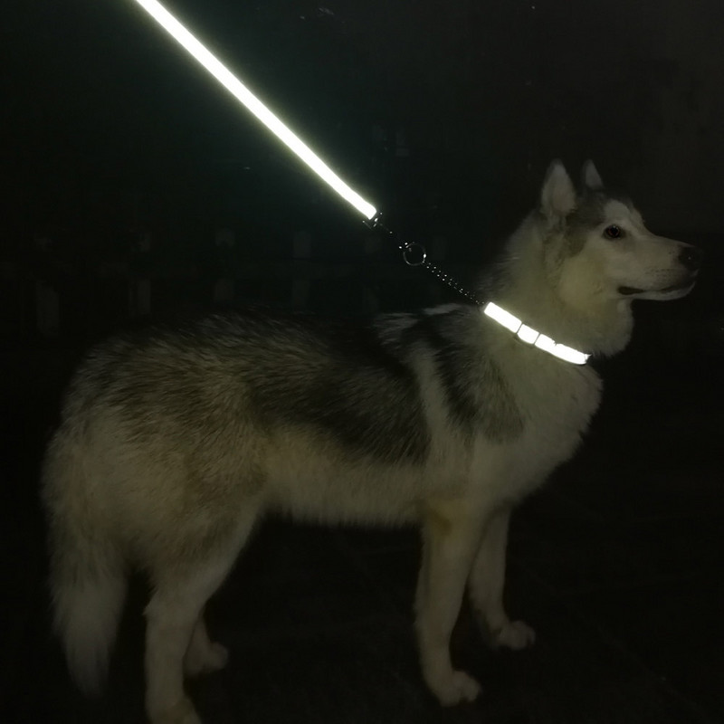 Martingalo šunų antkaklis su suvirintų grandinių grandine Nailono slydimo antkaklis šunų dresūros priedai Reguliuojamas antkaklis dideliam šuniui