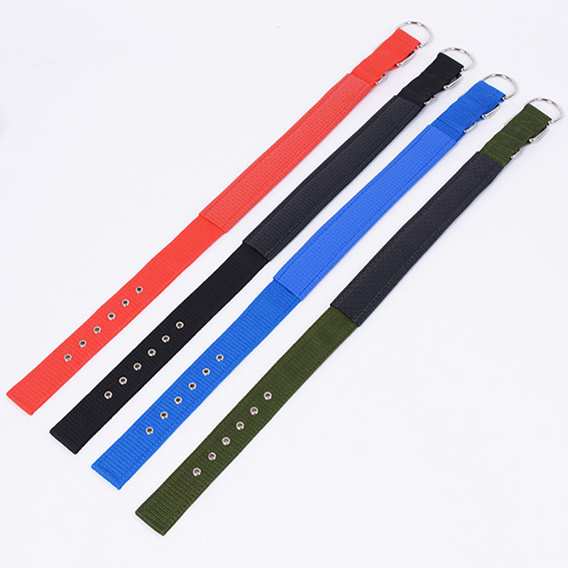 Mājdzīvnieku kaklasiksna Vienkārša vienkrāsaina suņu kakla siksna ādas odere Regulējama maza suņu kakla siksna Bichon Labrador vidēja līdz liela suņa kaklasiksna