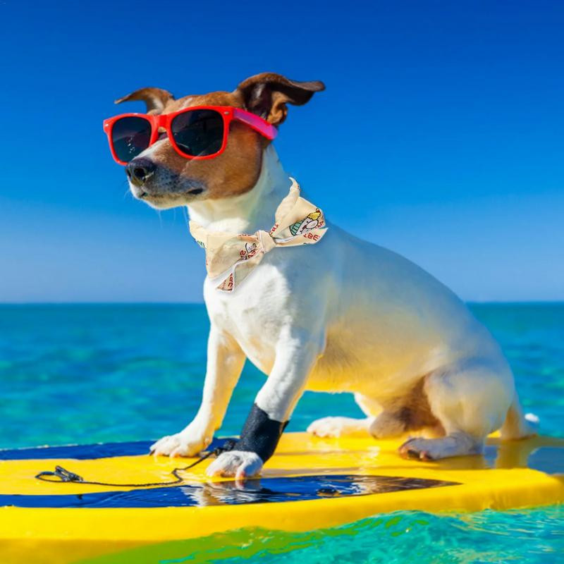 Maza suņu bandana mājdzīvnieku āra dzesēšanas kaklasiksna atkārtoti lietojama multfilmu raksti suņiem dekoratīva šalle kakla ķermeņa atdzesēšanai