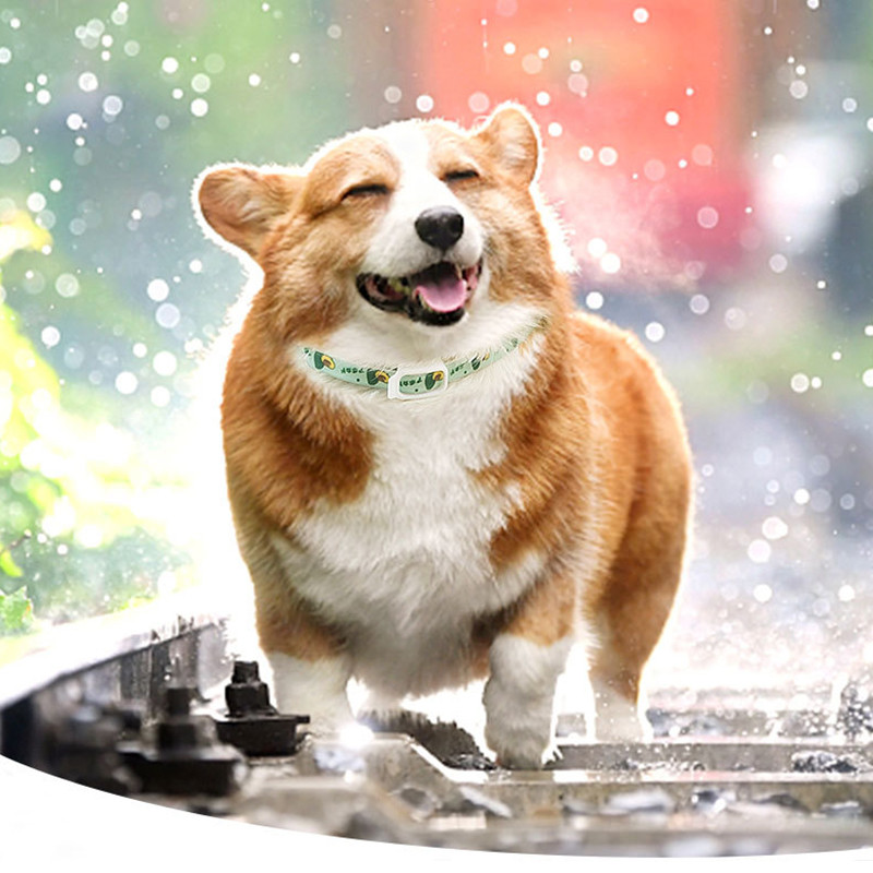 Mājdzīvnieku atbaidīšanas kakla siksna Netoksiska atbaidīšanas kakla siksna kaķiem Suņu vasaras dzīvnieku piederumi Mājdzīvnieku piederumi Mājdzīvnieku kaklasiksna Augļi Apdrukāti Kaķu piederumi