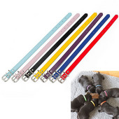 Regulējama suņu apkakles siksna kucēnu kaķēnu identifikācijas kakla siksna Suņu siksnu apkakles siksna maziem suņiem kaķiem jaundzimušajiem mājdzīvnieku piederumi