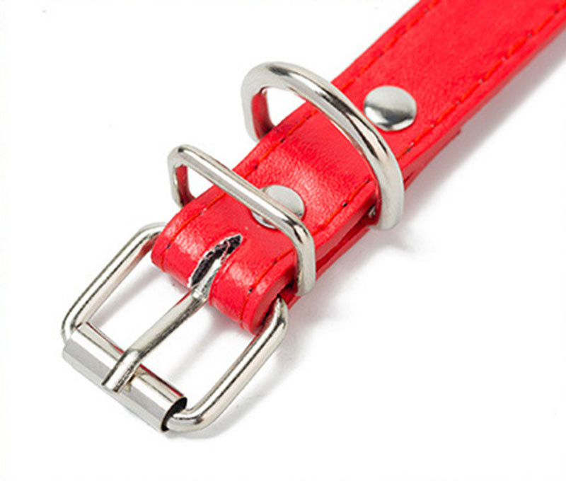 Regulējama suņu apkakles siksna kucēnu kaķēnu identifikācijas kakla siksna Suņu siksnu apkakles siksna maziem suņiem kaķiem jaundzimušajiem mājdzīvnieku piederumi