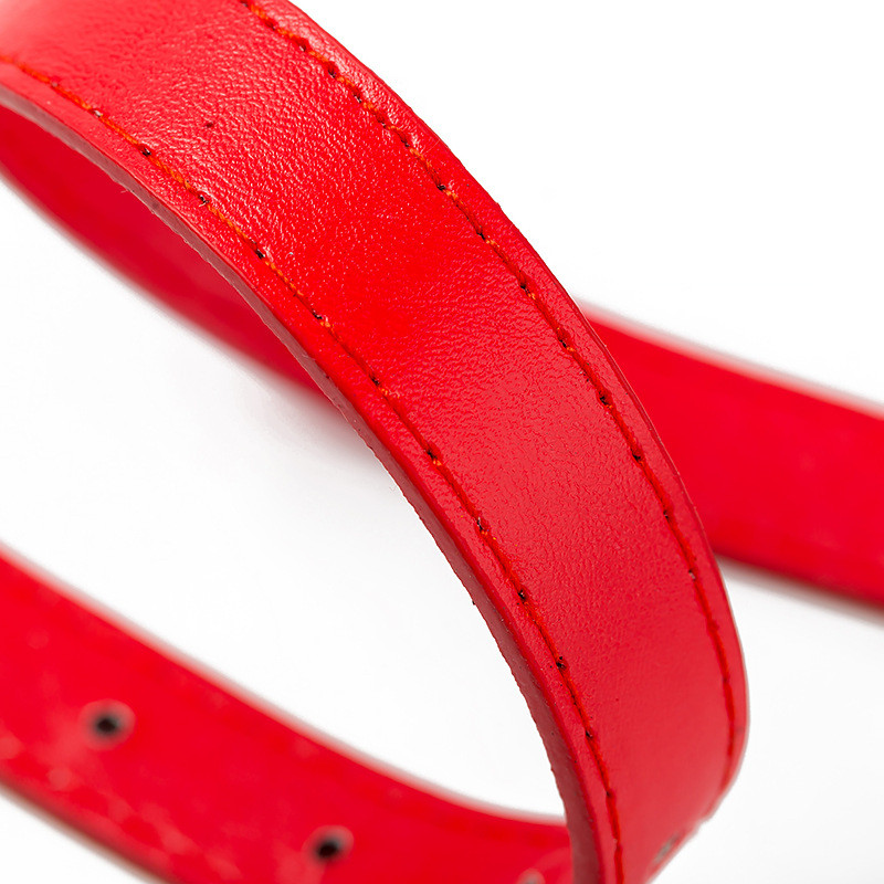 Regulējama suņu apkakles siksna kucēnu kaķēnu identifikācijas kakla siksna Suņu siksnu apkakles siksna maziem suņiem kaķiem jaundzimušajiem mājdzīvnieku piederumi