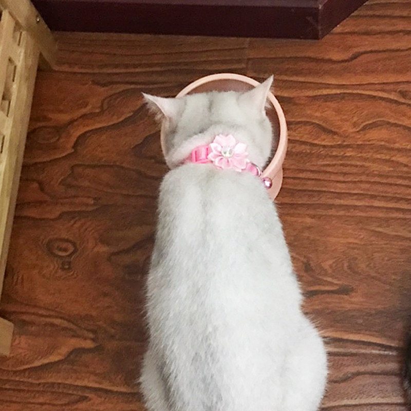 Modes mājdzīvnieku suņu kaklasiksnas zieds, krāsains raksts jauks zvaniņš, regulējamas kaklasiksnas suņu kaķiem DIY mājdzīvnieku piegādes acesorios para mascotas