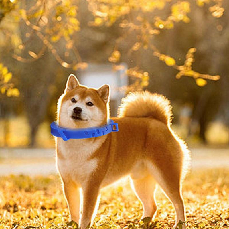 Περιλαίμιο αποπαρασίτωσης κατοικίδιων αναδιπλούμενο εξωτερικό κολιέ κατά των τσιμπουριών με όλα τα φυσικά συστατικά Προμήθειες προστασίας κατοικίδιων ζώων για σκύλους όλων των μεγεθών