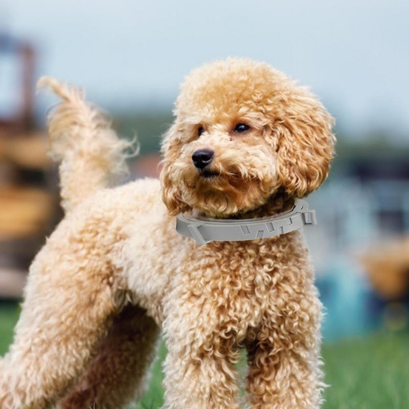 Περιλαίμιο αποπαρασίτωσης κατοικίδιων αναδιπλούμενο εξωτερικό κολιέ κατά των τσιμπουριών με όλα τα φυσικά συστατικά Προμήθειες προστασίας κατοικίδιων ζώων για σκύλους όλων των μεγεθών