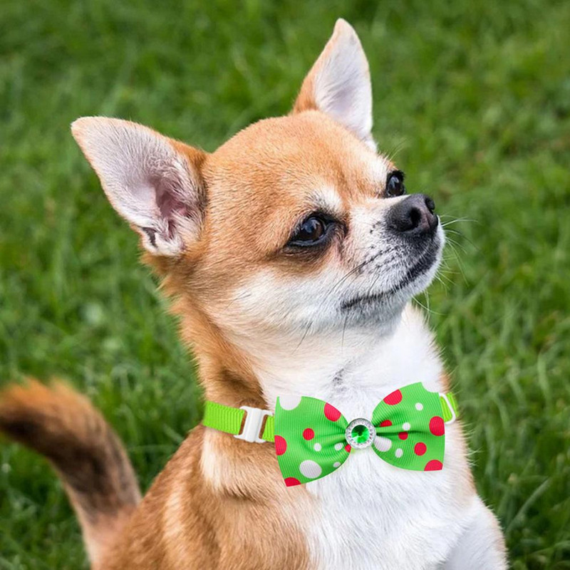 5gab. Modes kaķa kakla siksna, ērta sprādzes dizaina suņu kakla siksna Polka dot raksta mājdzīvnieku suns kaķis kaķa kakla siksna