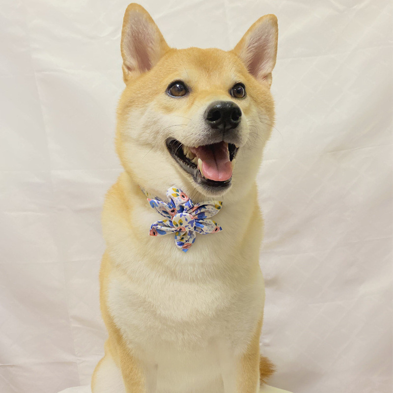 Mīksta suņu kaklasiksnas kaklarota ar saulespuķu dizainu maziem suņiem, čivavas jorkijas meitene, regulējama roku darbs