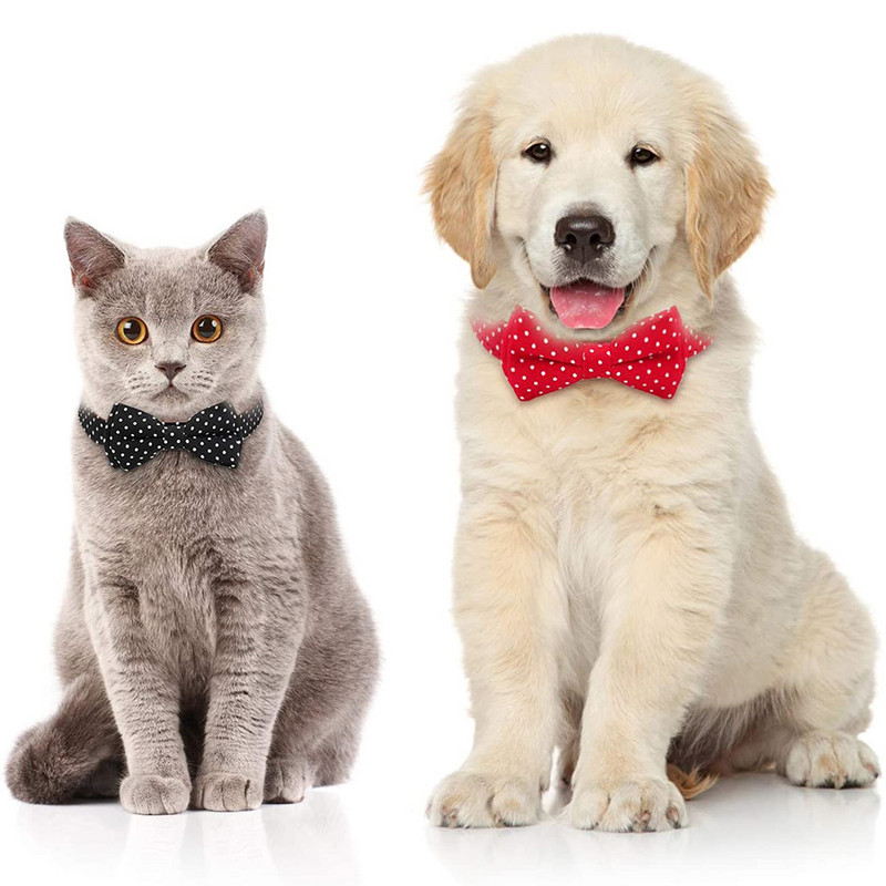 Suņu kaklasiksna ar regulējamu punktveida rakstu mājdzīvnieku kaklasiksna ar metāla sprādzi maziem vidējiem un lieliem suņiem