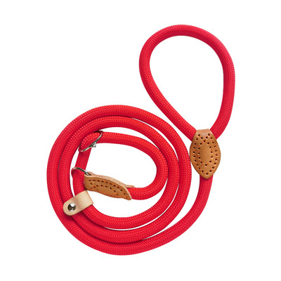 Suņu siksna neilona suņiem pavada pavada regulējama iejūga Izturīga virves jostas cilpa kaklasiksnas drošības pastaigu apmācība vidēji lieliem suņiem