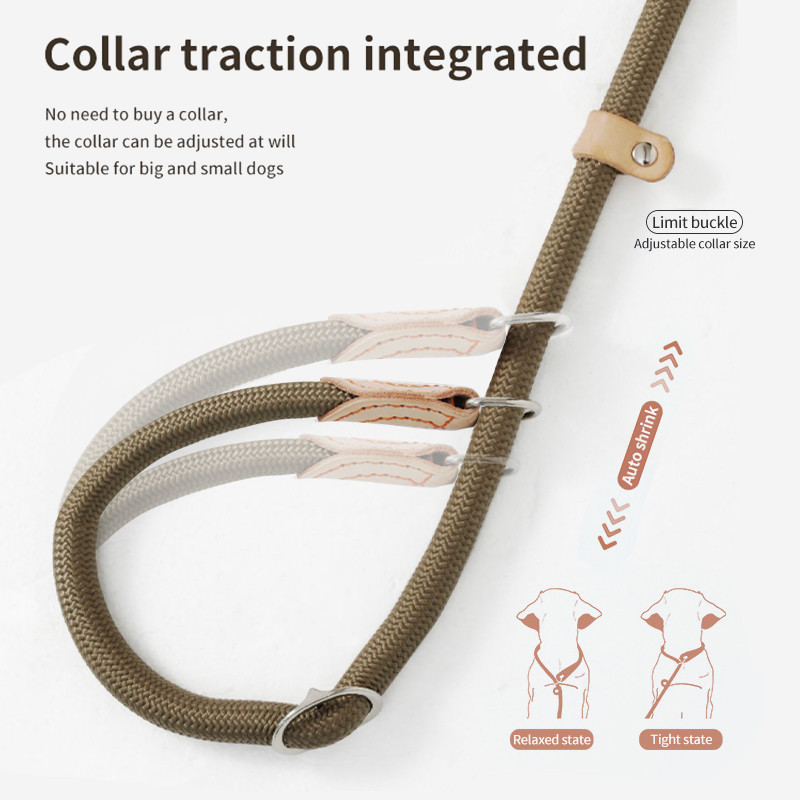 Suņu siksna neilona suņiem pavada pavada regulējama iejūga Izturīga virves jostas cilpa kaklasiksnas drošības pastaigu apmācība vidēji lieliem suņiem