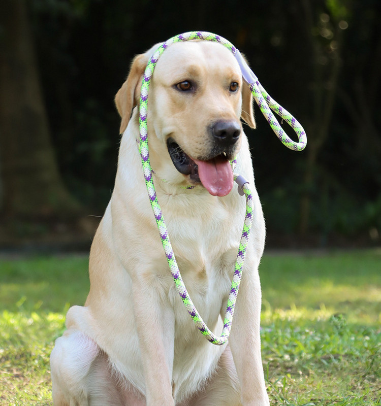 Suņu siksna Atstarojoša Spēcīga neilona siksna Apmācība Drošība Suņu pavadas Virves Labradors Franču buldogs Iejūga pavadas 120/150/180cm