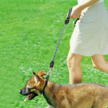 Κοντό λουρί κατοικίδιων ζώων Ανακλαστικό σκύλο που περπατά νάιλον αγωγός παρακολούθησης για μεσαίου μεγέθους σκύλους Εκπαίδευση Έλεγχος ανθεκτικών λουριών Προμήθειες για κατοικίδια