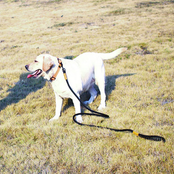 Λουρί κατοικίδιων ζώων Nylon ανθεκτικά και μαλακά λουριά σκύλου Ζώνη εκπαίδευσης για τρέξιμο για περπάτημα σχοινί για μικρά μεσαία μεγάλα σχοινιά λουριών για σκύλους