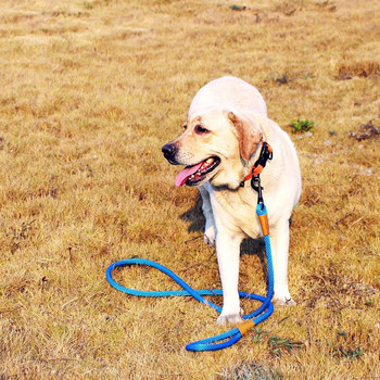 Λουρί κατοικίδιων ζώων Nylon ανθεκτικά και μαλακά λουριά σκύλου Ζώνη εκπαίδευσης για τρέξιμο για περπάτημα σχοινί για μικρά μεσαία μεγάλα σχοινιά λουριών για σκύλους