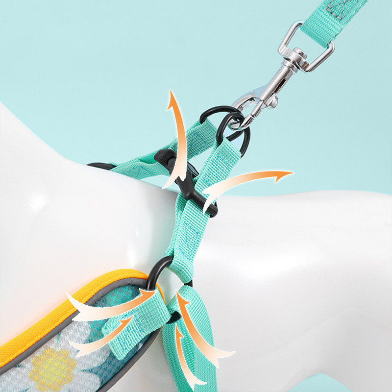 Atstarojoša mājdzīvnieku suņu iejūga un pavadas komplekts Komforta elpojoša mājdzīvnieku iejūga Apdrukāta suņu iejūga maziem un vidējiem suņiem Mājdzīvnieku piederumi