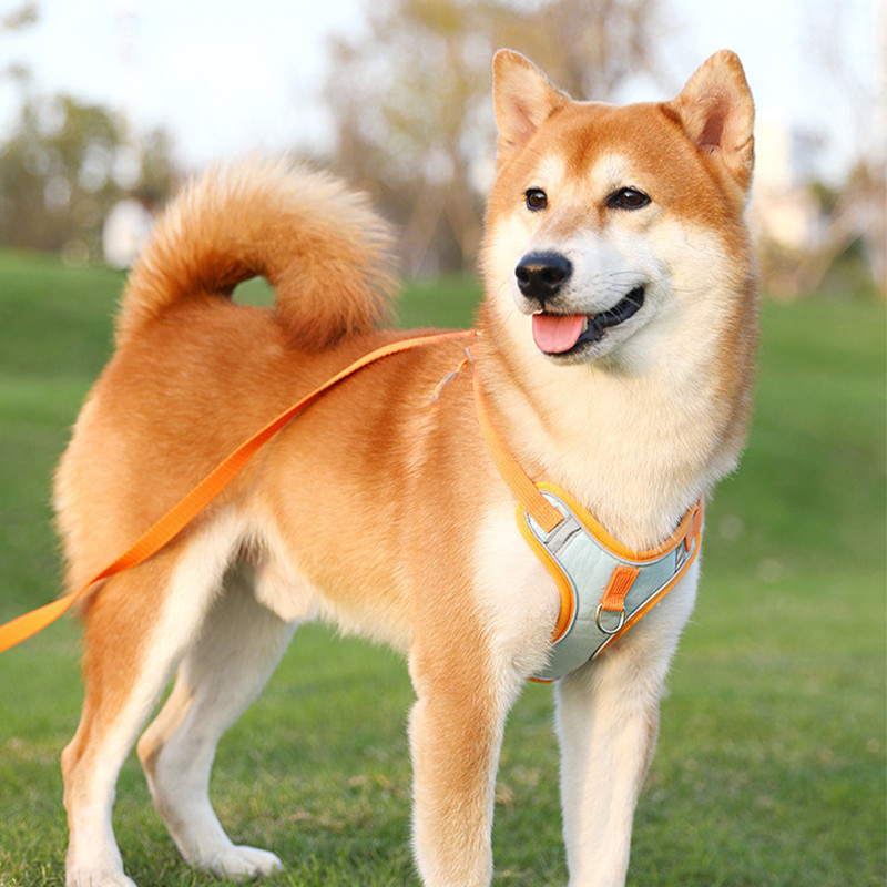 Elpojoša suņu iejūga Regulējama atstarojoša suņu iejūga un pavadas komplekts Izturīgs kucēnu iejūgs mājdzīvnieku aksesuāri