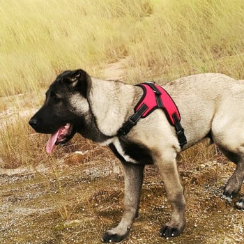 Нагръдник за кучета POLICE K9 Дължина на нашийника Регулируема стъпка в ходене Нагръдници за домашни любимци ЖИЛЕТКА Персонализиран етикет за куче По избор