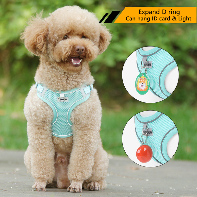 Suņu iejūga pavadas komplekts Elpojošs siets franču buldogs čivava āra pastaigu pavada pavada maziem suņiem kaķiem zirglietu veste