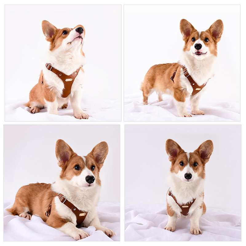 Mājdzīvnieku suņu zirglietas Mīkstas ādas suņu krūškurvja siksna Vilces virves komplekts Suņu ķēde āra pastaigu vestes iejūga Maza un vidēja suņu piederumi