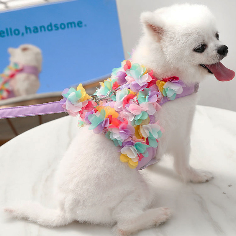 Mājdzīvnieku iejūgu siksnas komplekts mazam sunim Regulējams krāsains puķu kucēns kaķu zirglietu veste Bulldog Chihuahua āra pastaigu pavada