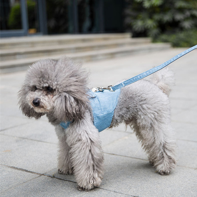 Jauka mājdzīvnieku krūškurvja siksna Elpojoša suņu pastaigu virve maziem suņiem Pomerānijas korgija mājdzīvnieku vestes iejūga virve Mājdzīvnieku suņu iejūgu pavadas komplekts