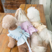 Mežģīņu svārki krūšu siksna pavada pastaigu suns kaķis veste apģērbs Teddy Jorkšīras šnaucers Maltas bišons suns piederumi suņu kaklasiksnas