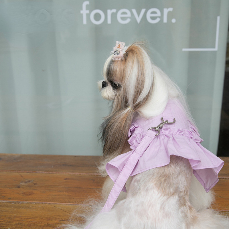 Mežģīņu svārki krūšu siksna pavada pastaigu suns kaķis veste apģērbs Teddy Jorkšīras šnaucers Maltas bišons suns piederumi suņu kaklasiksnas