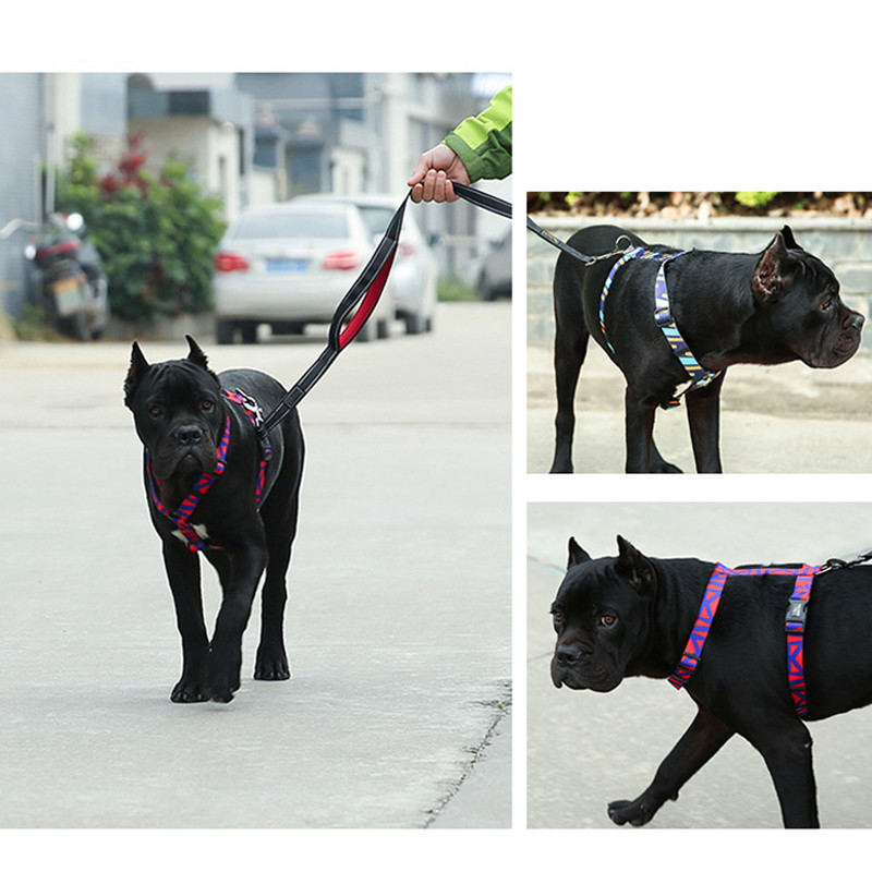 I-veida suņu iejūga apdruka Pastaigas Skriešana Regulējama Pastaigas Skriešana Mājdzīvnieku kaķu zirglietas Neilona Bohēmijas stila mājdzīvnieku suņu piederumi