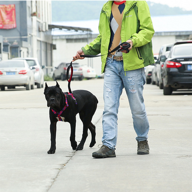 I-veida suņu iejūga apdruka Pastaigas Skriešana Regulējama Pastaigas Skriešana Mājdzīvnieku kaķu zirglietas Neilona Bohēmijas stila mājdzīvnieku suņu piederumi