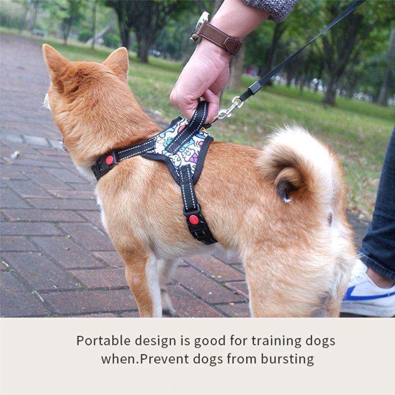 Atstarojoša mājdzīvnieku suņu iejūga Veste suņa krūšu siksna franču buldoga kaklasiksnai Shiba Inu zirglieta maziem lieliem suņiem pastaigu izstrādājums