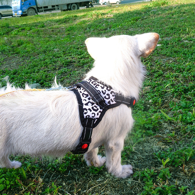 Atstarojoša mājdzīvnieku suņu iejūga Veste suņa krūšu siksna franču buldoga kaklasiksnai Shiba Inu zirglieta maziem lieliem suņiem pastaigu izstrādājums