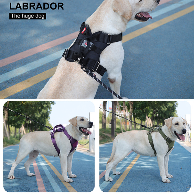 Jaunas mājdzīvnieku suņu siksnas LED apgaismojoša suņu siksna, atstarojoša, regulējama siksna āra pastaigu vestei, kas paredzēta vidēji lieliem suņiem