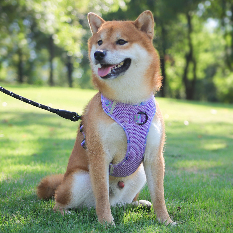 Mājdzīvnieku suņu vestes iejūga elpojoša sieta kucēnu krūškurvja siksna vidēji lieliem suņiem Apkakles siksna Labradora buldoga iejūga suņiem pastaigu piederumi