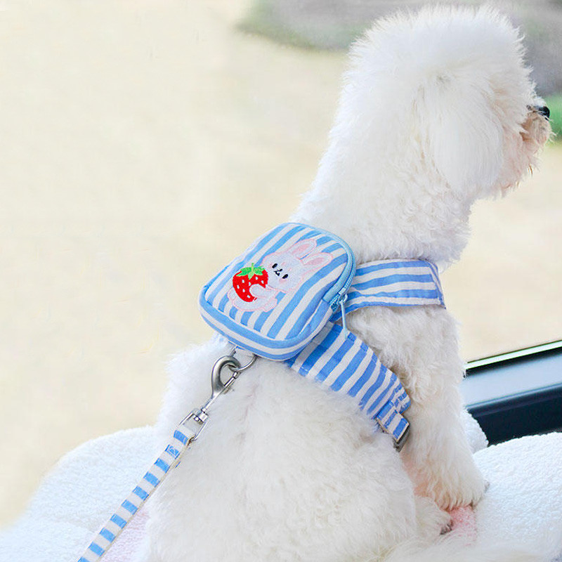 Suņu siksnas siksna mājdzīvnieku krūškurvja siksna Elpojoša sieta uzkodu soma Kaķu veste Maziem un vidējiem suņiem Apkakles siksnas Pastaigas mājdzīvnieku piederumi