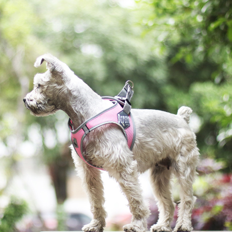 Neilona suņu zirglietu veste elpojoša mājdzīvnieku krūšu siksna atstarojošas kucēnu zirglietas maziem suņiem kaķiem Franču buldogu pastaigu piederumi