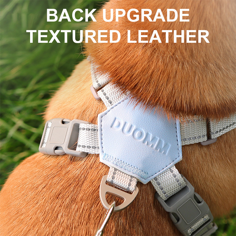 Suņu zirglietas Apģērbi Veste Krūšu kaķu kaklasiksnas Virve Mazie Suņi Atstarojoši Elpojoši Regulējami Āra Pastaigas Piederumi mājdzīvniekiem