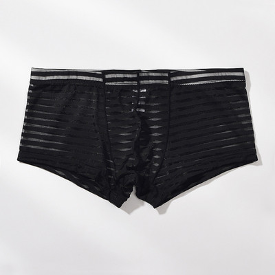 Meeste läbipaistvad seksikad poksijad aluspesu Võrgustikku üliõhukesed meeste aluspüksid Cuecas madala vöökohaga bokserid Meeste triibulised Hombre aluspüksid