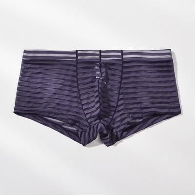 Meeste läbipaistvad seksikad poksijad aluspesu Võrgustikku üliõhukesed meeste aluspüksid Cuecas madala vöökohaga bokserid Meeste triibulised Hombre aluspüksid