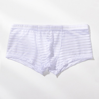 Meeste läbipaistvad seksikad poksijad aluspesu Võrgustikku üliõhukesed meeste aluspüksid Cuecas madala vöökohaga bokserid Meeste triibulised Hombre aluspüksid