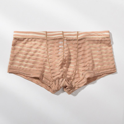 Meeste läbipaistvad seksikad poksijad aluspesu Võrgustikku üliõhukesed meeste aluspüksid Cuecas madala vöökohaga bokserid Meeste triibulised Hombre aluspüksid