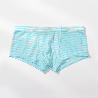 Meeste läbipaistvad seksikad poksijad aluspesu Võrgustikku üliõhukesed meeste aluspüksid Cuecas madala vöökohaga bokserid Meeste triibulised Hombre aluspüksid