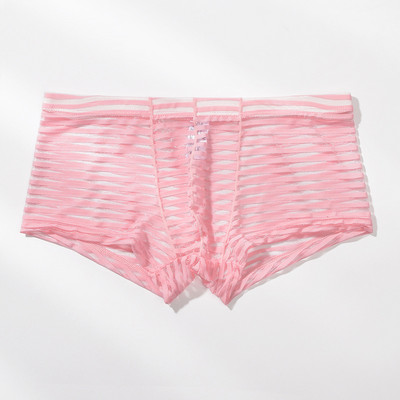 Meeste läbipaistvad seksikad poksijad aluspesu Võrgustikku üliõhukesed meeste aluspüksid Cuecas madala vöökohaga bokserid Meeste triibulised Hombre aluspüksid