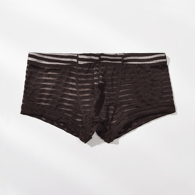 Meeste läbipaistvad seksikad poksijad aluspesu Võrgustikku üliõhukesed meeste aluspüksid Cuecas madala vöökohaga bokserid Meeste triibulised Hombre aluspüksid