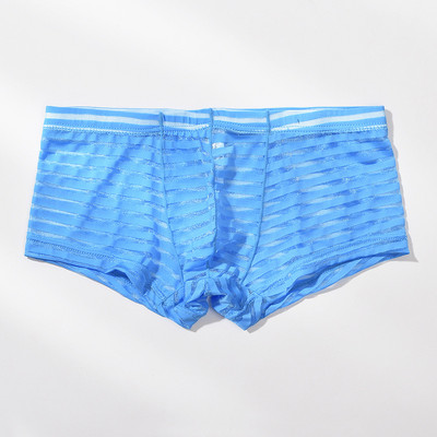 Meeste läbipaistvad seksikad poksijad aluspesu Võrgustikku üliõhukesed meeste aluspüksid Cuecas madala vöökohaga bokserid Meeste triibulised Hombre aluspüksid