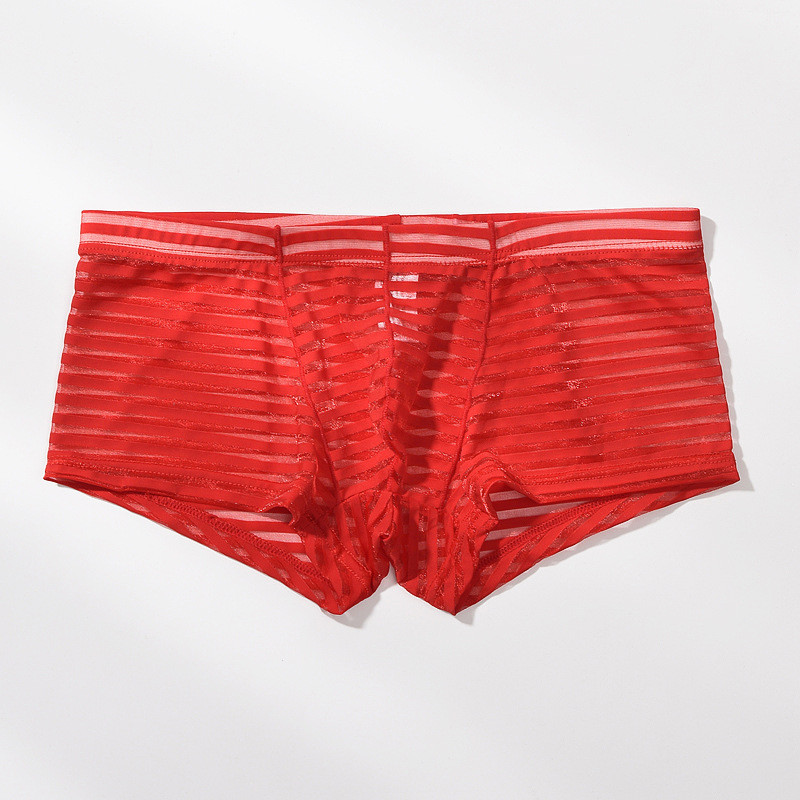 Meeste läbipaistvad seksikad poksijad aluspesu Võrgustikku üliõhukesed meeste aluspüksid Cuecas madala vöökohaga bokserid Meeste triibulised Hombre aluspüksid