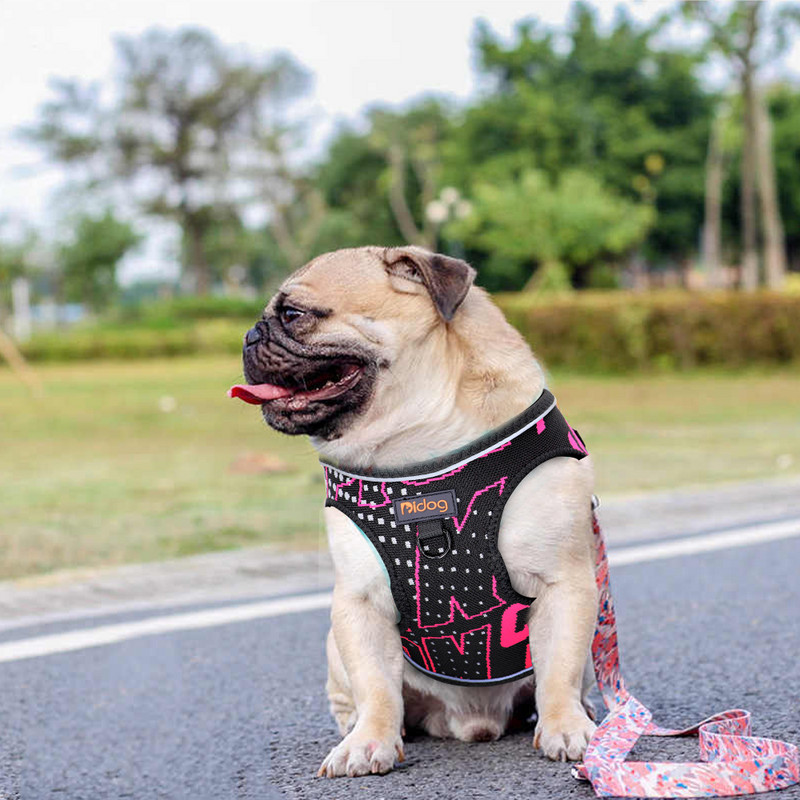 Nailon imprimat pentru câini de companie, vestă reglabilă fără tragere, câine, câine, pisică, ham reflectorizant pentru câini de talie mică, mijlocie, chihuahua pug