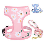 Minkštų šunų kačių pavadėlių rinkinys mažiems ir vidutiniams dideliems šunims Reguliuojamas naminių gyvūnėlių šuniukų kačiuko liemenės petnešos lauko pavadėliui Perros